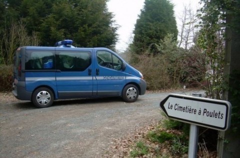 Cimetière à poulets