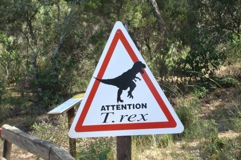 T Rex